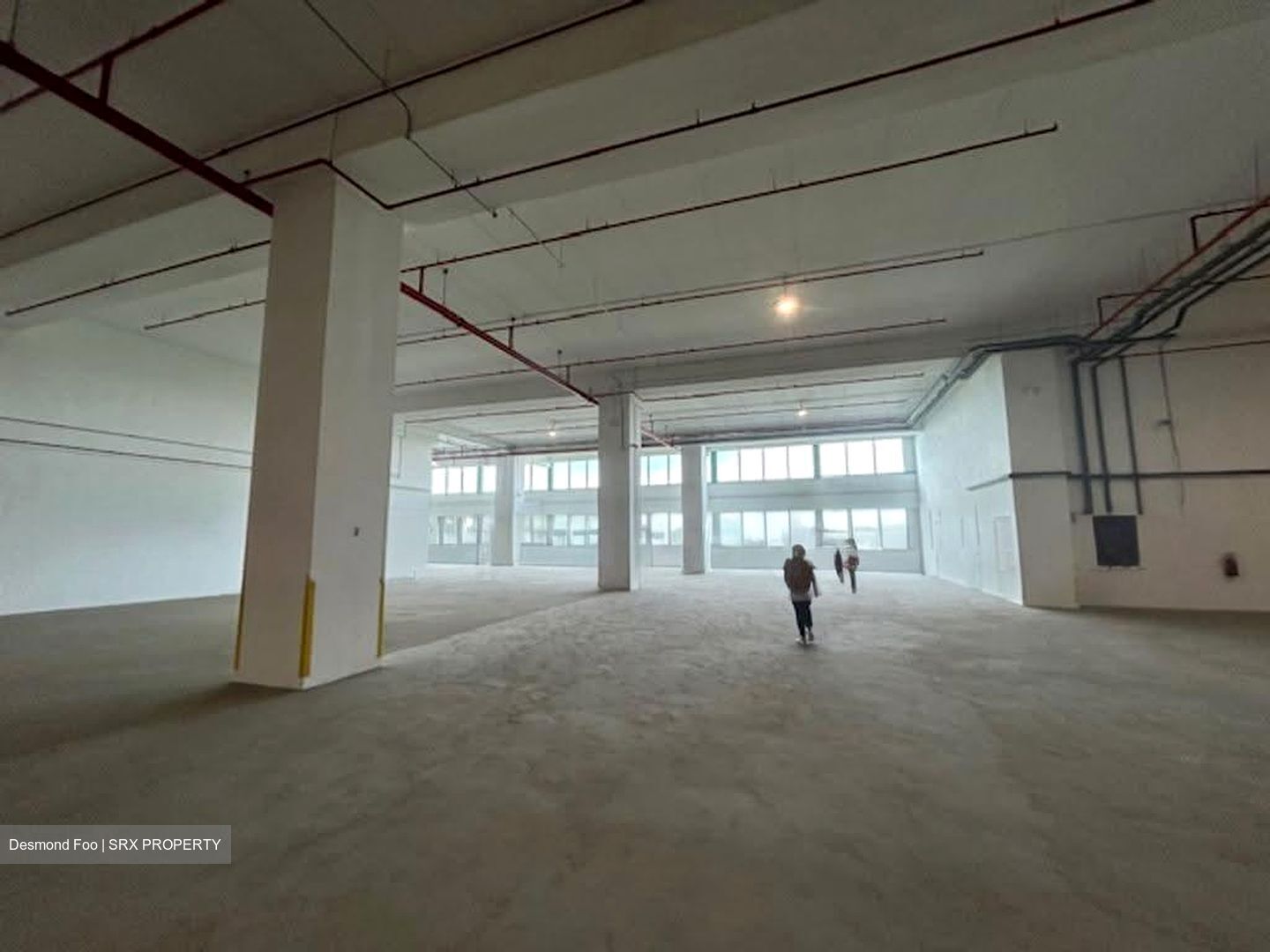 Freight Links (changi) Building (D16), Warehouse #611017421